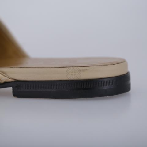 Large Product Preview Image 8