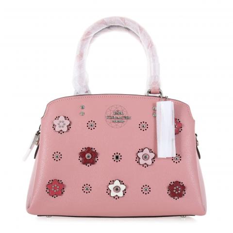 Coach mini lillie best sale carryall with daisy applique