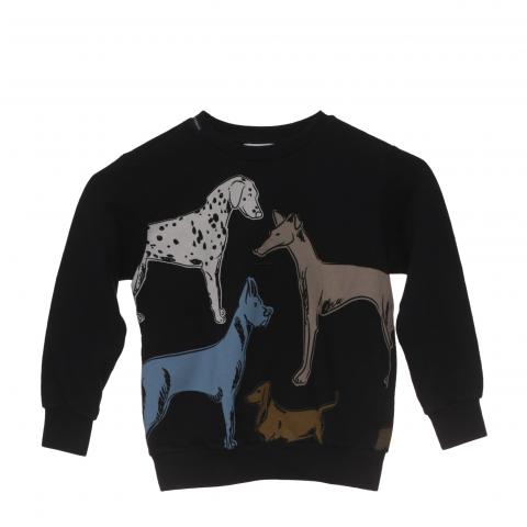 Dolce and discount gabbana dog sweater