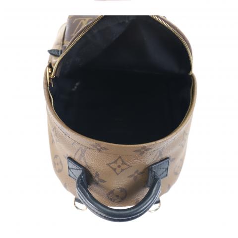Louis Vuitton LV Palm spring mini backpack reverse Brown Leather ref.299723  - Joli Closet