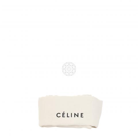 CELINE Grained Calfskin Nano Belt Bag Mineral 658736