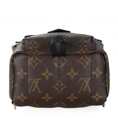 Louis Vuitton Palm Springs MM Backpack - clothing & accessories - by owner  - apparel sale - craigslist