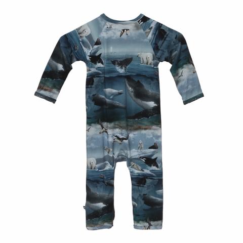 Large Product Preview Image 2