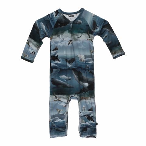 Large Product Preview Image 1