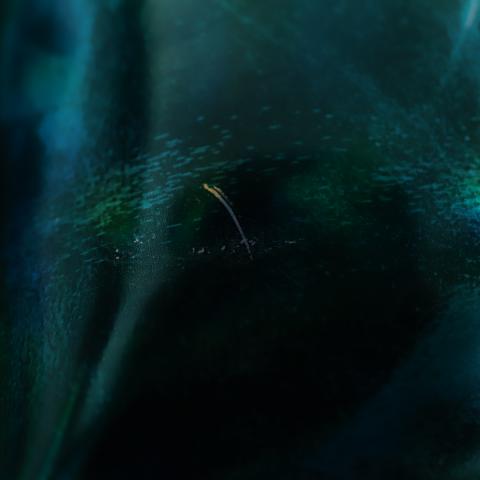 Large Product Preview Image 9