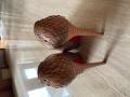Small Product Preview Image 2