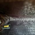 Small Product Preview Image 11
