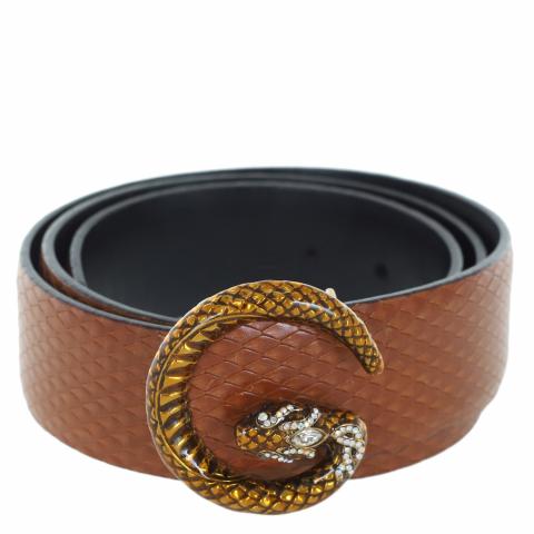 Python on sale gucci belt