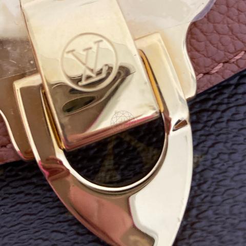 Louis Vuitton, Bags, Louis Vuitton Saintplacide Python