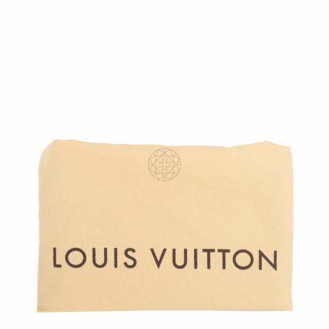 Louis Vuitton Fumee Monogram Antheia Leather Hobo Bag – My Paris Branded  Station-Sell Your Bags And Get Instant Cash