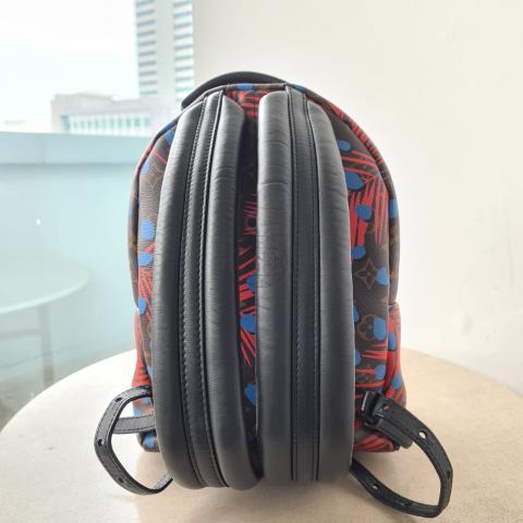 Palm springs leather backpack Louis Vuitton Multicolour in Leather -  37201322