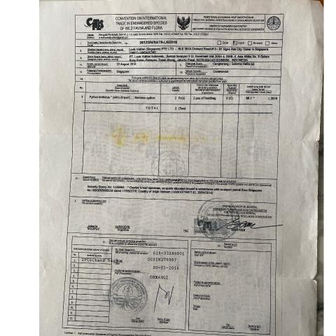 Large Product Preview Image 12