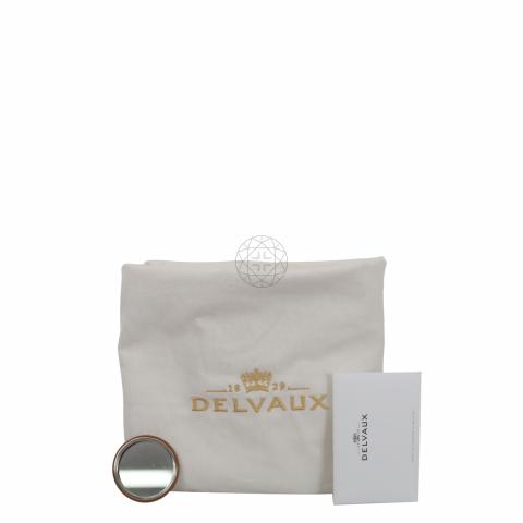 Delvaux Brillant Review inc size comparison (mini MM), Delvaux vs Hermes,  vintage bag & more! 