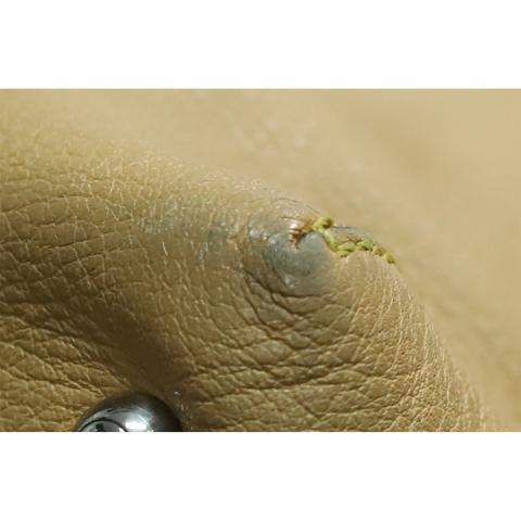 Large Product Preview Image 12