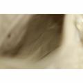 Small Product Preview Image 15