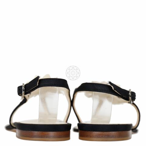 Large Product Preview Image 4