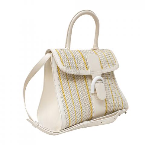 Sell Delvaux Brillant MM Toile Twist Box Bag - Multicolor