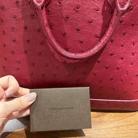 Louis Vuitton Gris Ostrich Leather Alma PM Bag - Yoogi's Closet