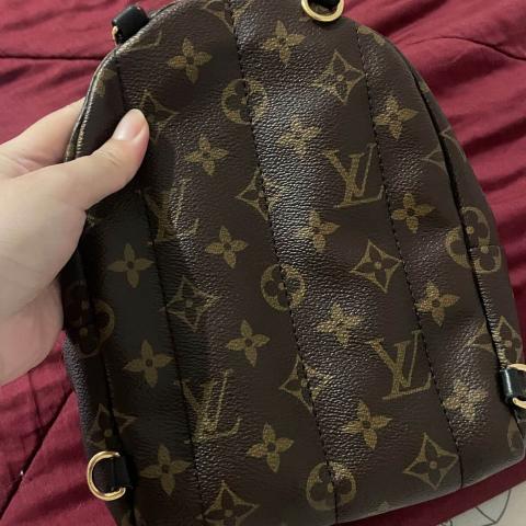 Sell Louis Vuitton Monogram Mini Palm Springs Backpack - Brown