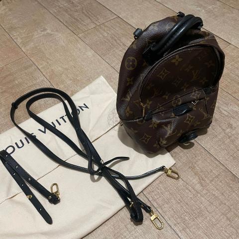 Louis Vuitton Monogram Mini Palm Springs - Brown Backpacks, Handbags -  LOU813277