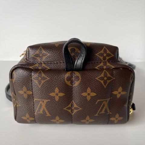 Louis Vuitton Mini Monogram Palm Springs Backpack w/Tags - Brown Backpacks,  Handbags - LOU728818