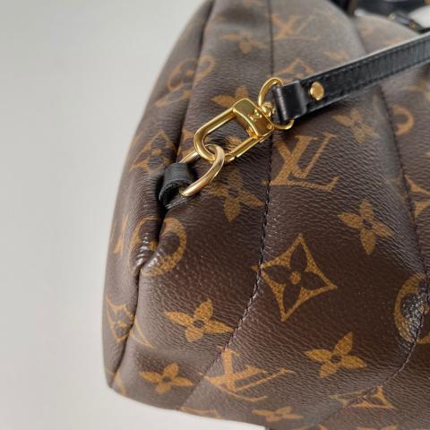 Louis Vuitton 2007 Brown Monogram Speedy Handbag in 2023