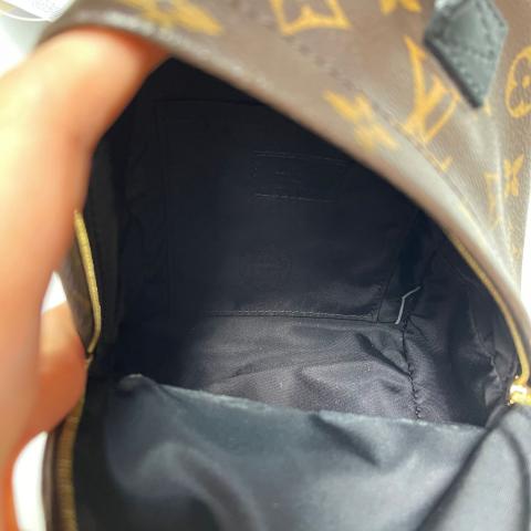 Louis Vuitton Mini Monogram Palm Springs Backpack w/Tags - Brown Backpacks,  Handbags - LOU728818