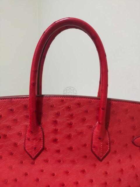 Red Ostrich Pattern Birkin Inspired Handbag