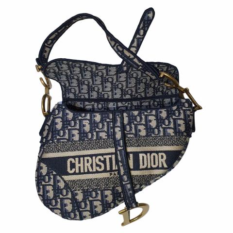 Saddle Bag Gray Dior Oblique embroidery