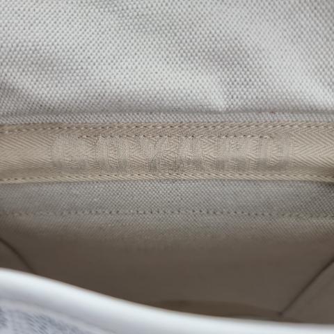 GOYARD Goyardine Calfskin Mini Alpin Backpack White 1299556