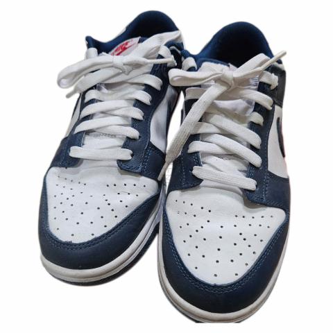 authentic nike dunks for sale