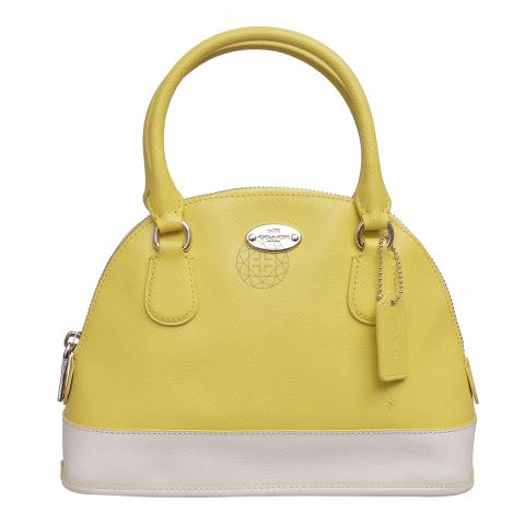 Coach dome clearance satchel