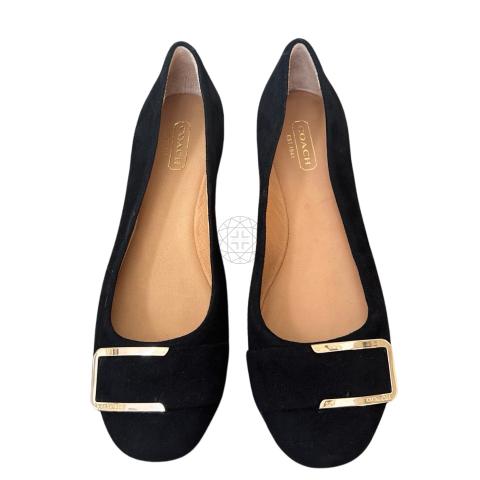 Coach suede pointy toe on sale flat