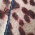 Small Product Preview Image 13