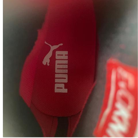 Large Product Preview Image 8