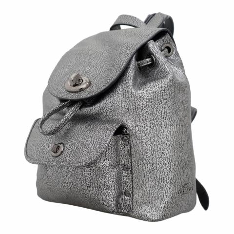 Sell Coach Mini Turnlock Rucksack Backpack Grey Silver HuntStreet