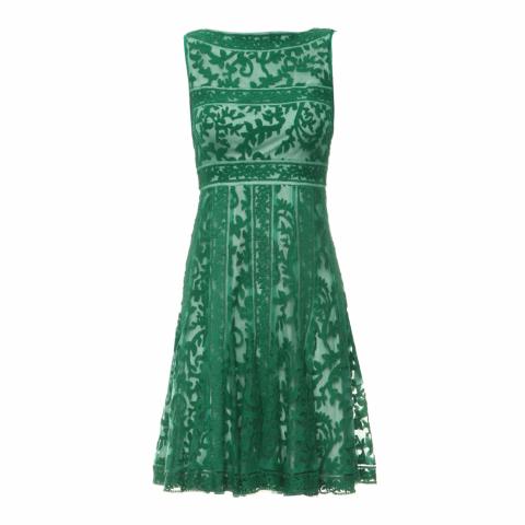 sachin and babi light blue dress Tadashi Shoji Sable Embroidered Tulle Dress main image 0