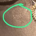 Small Product Preview Image 11