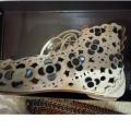 Small Product Preview Image 9