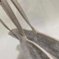 Small Product Preview Image 34
