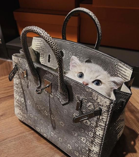Seller Closet Image
